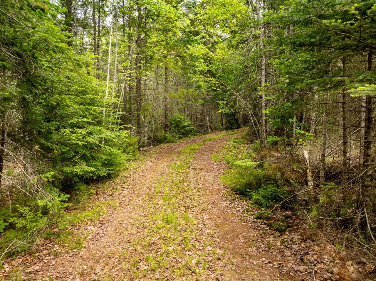 400 River Bend Road, Deblois, ME 04622