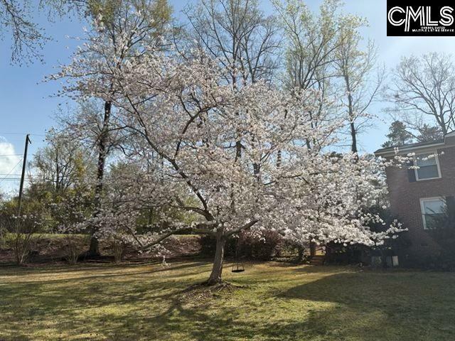 101 Brookgreen, Lexington, SC 29072