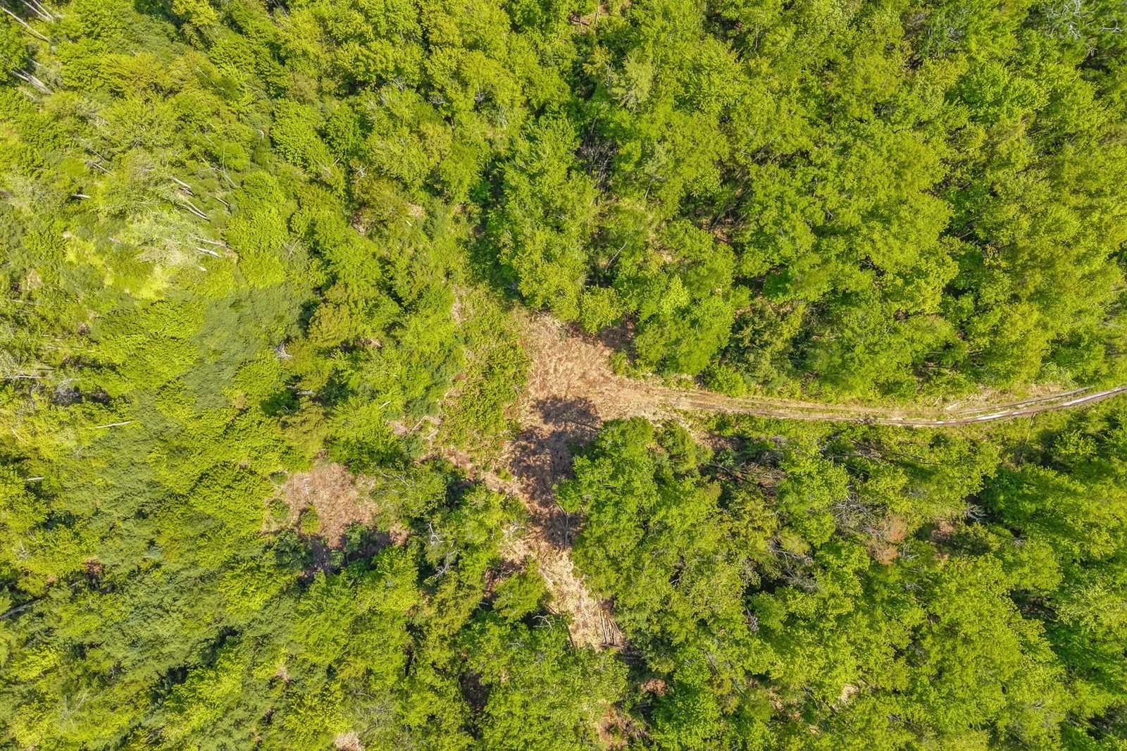 Lot 99 Center Drive, Orrington, ME 04474