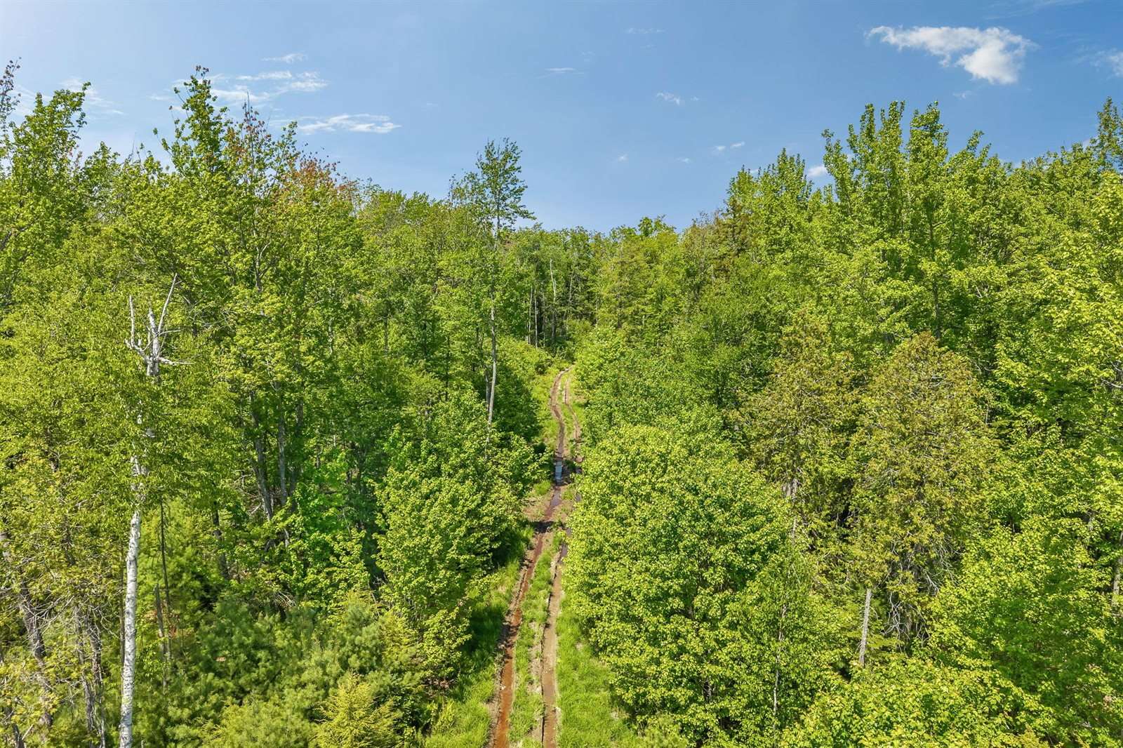 Lot 99 Center Drive, Orrington, ME 04474