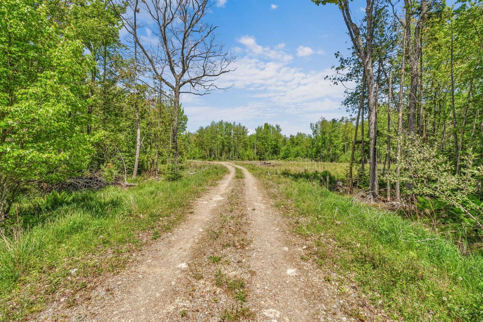 Lot 99 Center Drive, Orrington, ME 04474