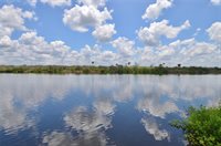630 North River Road, Venice, FL 34293
