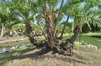 630 North River Road, Venice, FL 34293