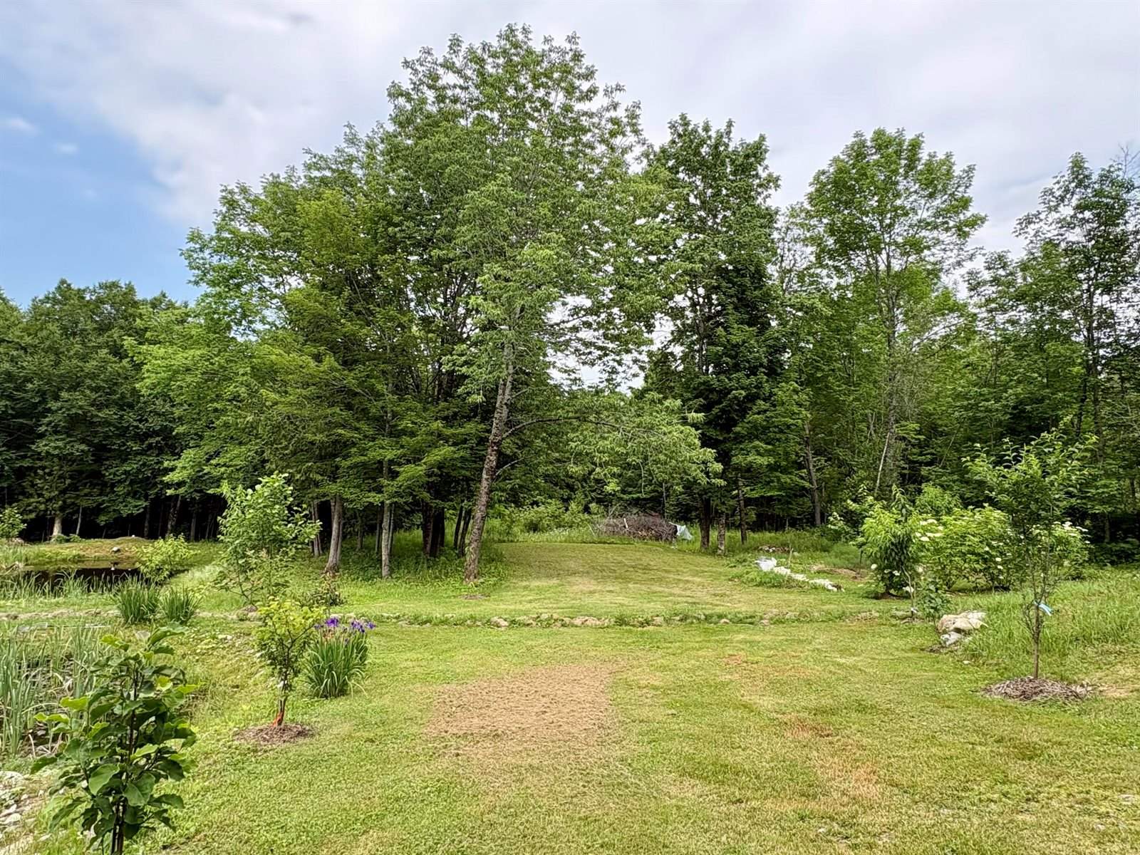 1097 Main Street, Springfield, ME 04487