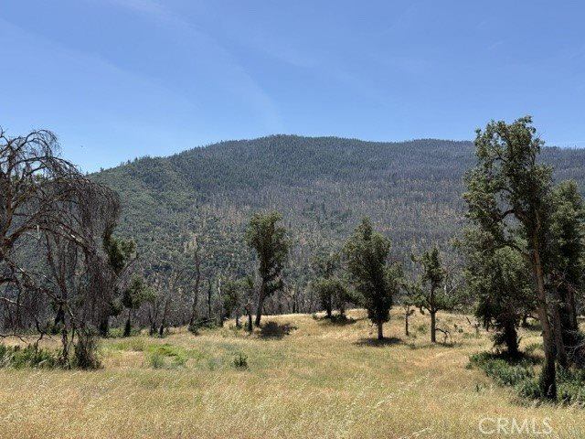 24 N #35 RD, Paskenta, Paskenta, CA 96074