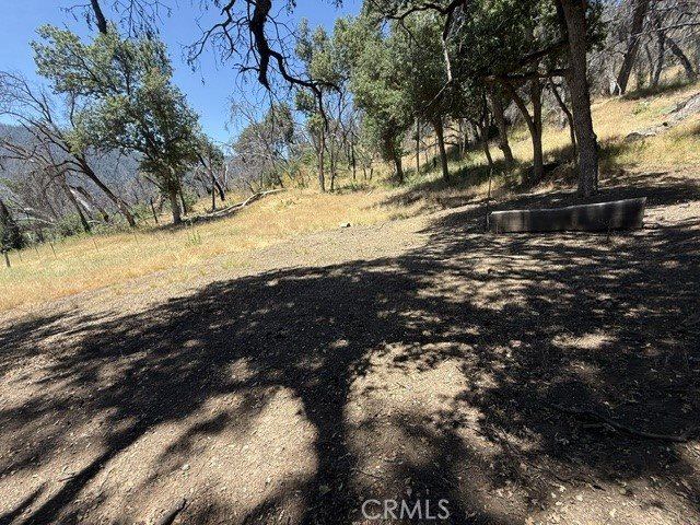 24 N #35 RD, Paskenta, Paskenta, CA 96074