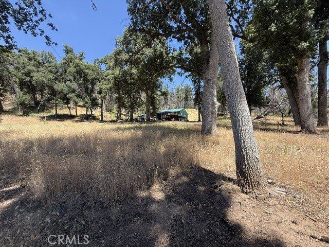 24 N #35 RD, Paskenta, Paskenta, CA 96074