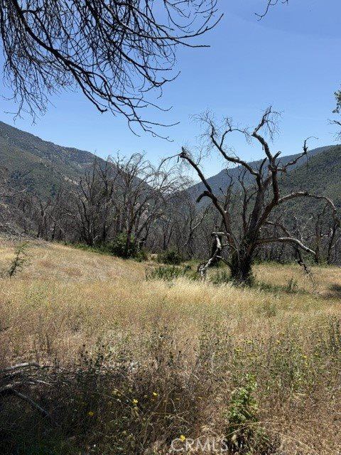 24 N #35 RD, Paskenta, Paskenta, CA 96074