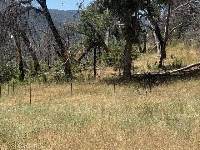 24 N #35 RD, Paskenta, Paskenta, CA 96074