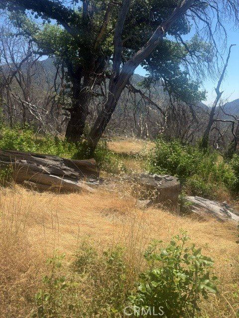 24 N #35 RD, Paskenta, Paskenta, CA 96074