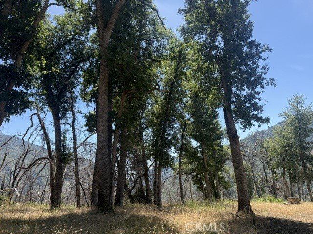 24 N #35 RD, Paskenta, Paskenta, CA 96074