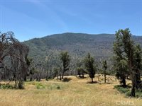 24 N #35 RD, Paskenta, Paskenta, CA 96074