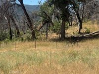 24 N #35 RD, Paskenta, Paskenta, CA 96074