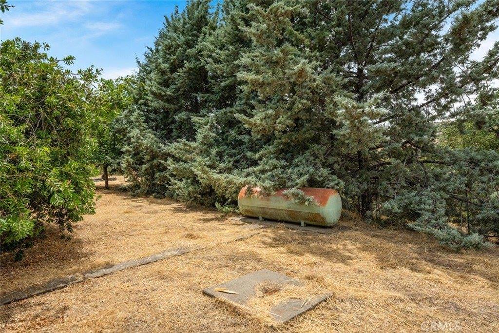 3390 Dry Creek, Butte Valley, CA 95965