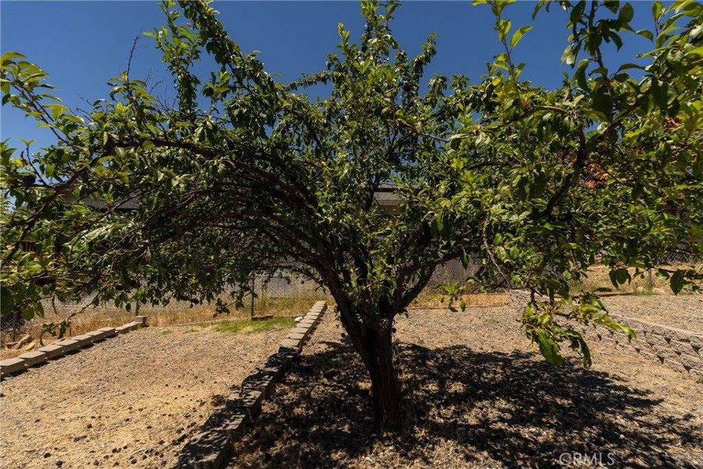 1190 Mount Ida, Oroville, CA 95966