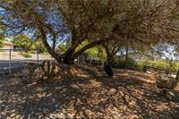 1190 Mount Ida, Oroville, CA 95966