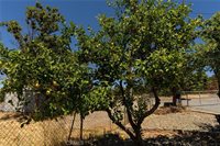 1190 Mount Ida, Oroville, CA 95966