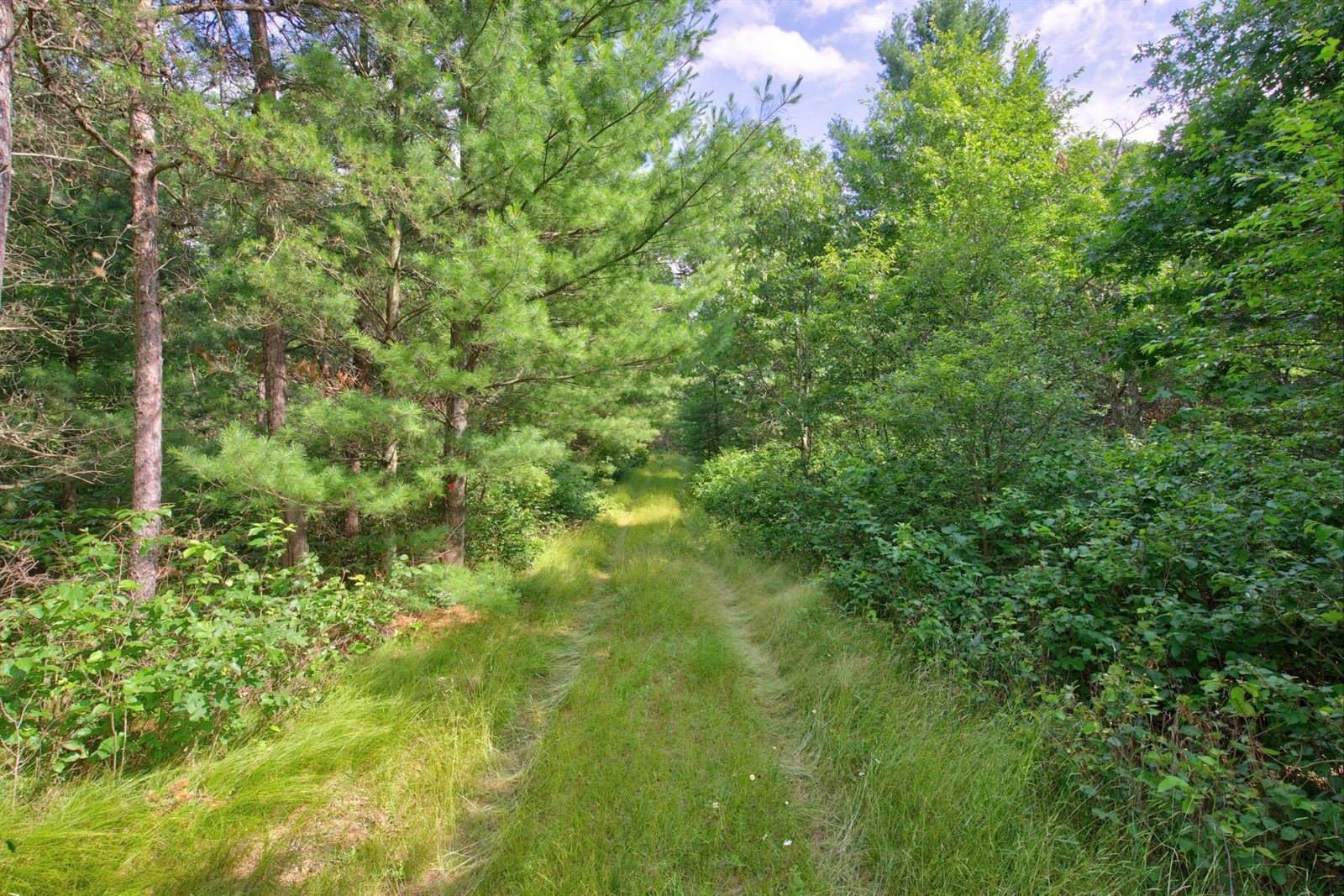 1816 Evergreen Avenue, Wisconsin Rapids, WI 54494