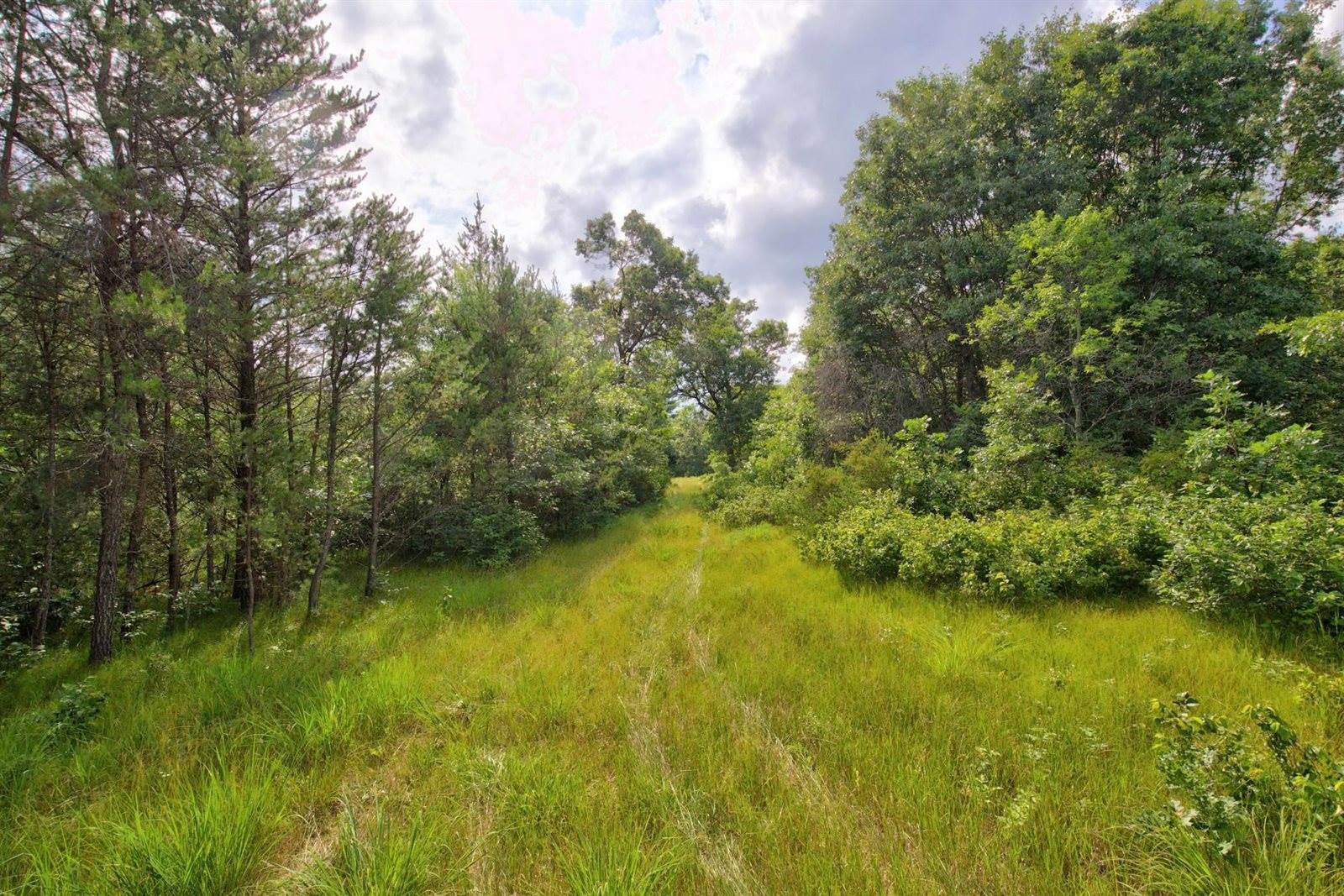 1816 Evergreen Avenue, Wisconsin Rapids, WI 54494