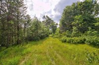 1816 Evergreen Avenue, Wisconsin Rapids, WI 54494