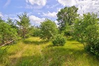 1816 Evergreen Avenue, Wisconsin Rapids, WI 54494