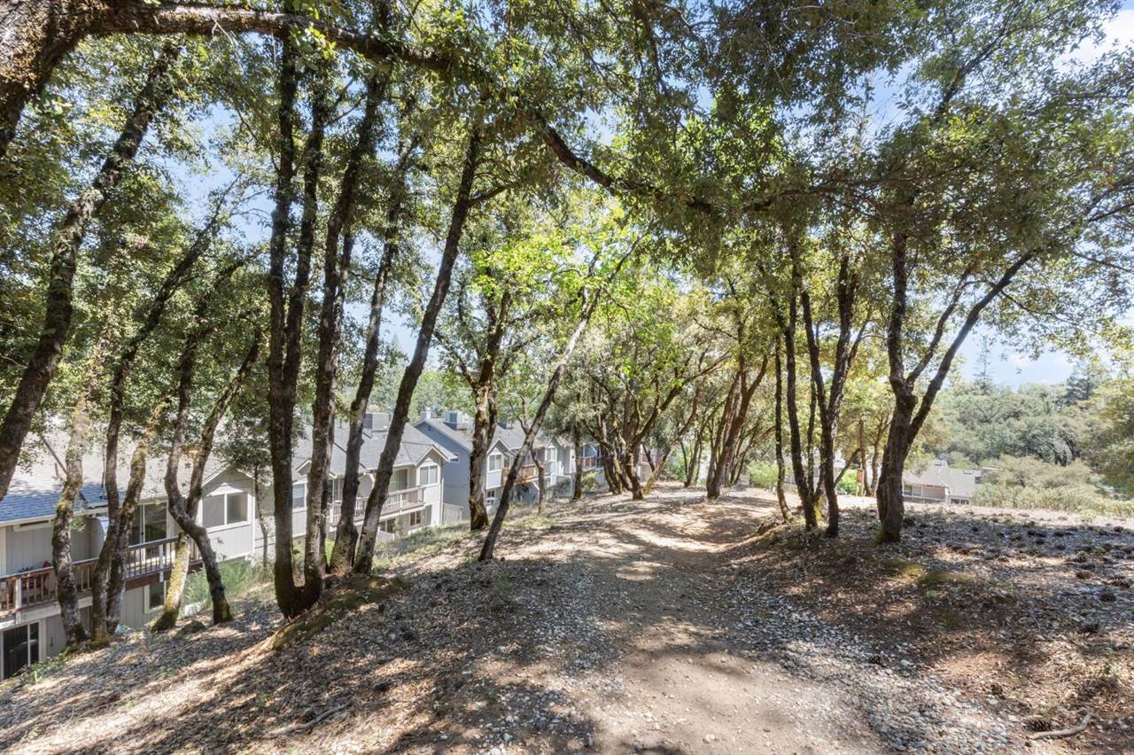 1392 Oak Ridge Drive, Colfax, CA 95713