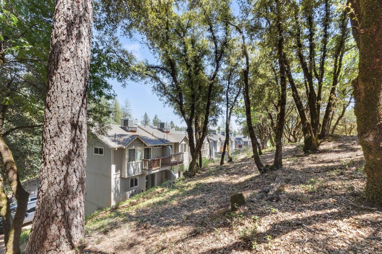 1392 Oak Ridge Drive, Colfax, CA 95713