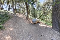 1392 Oak Ridge Drive, Colfax, CA 95713