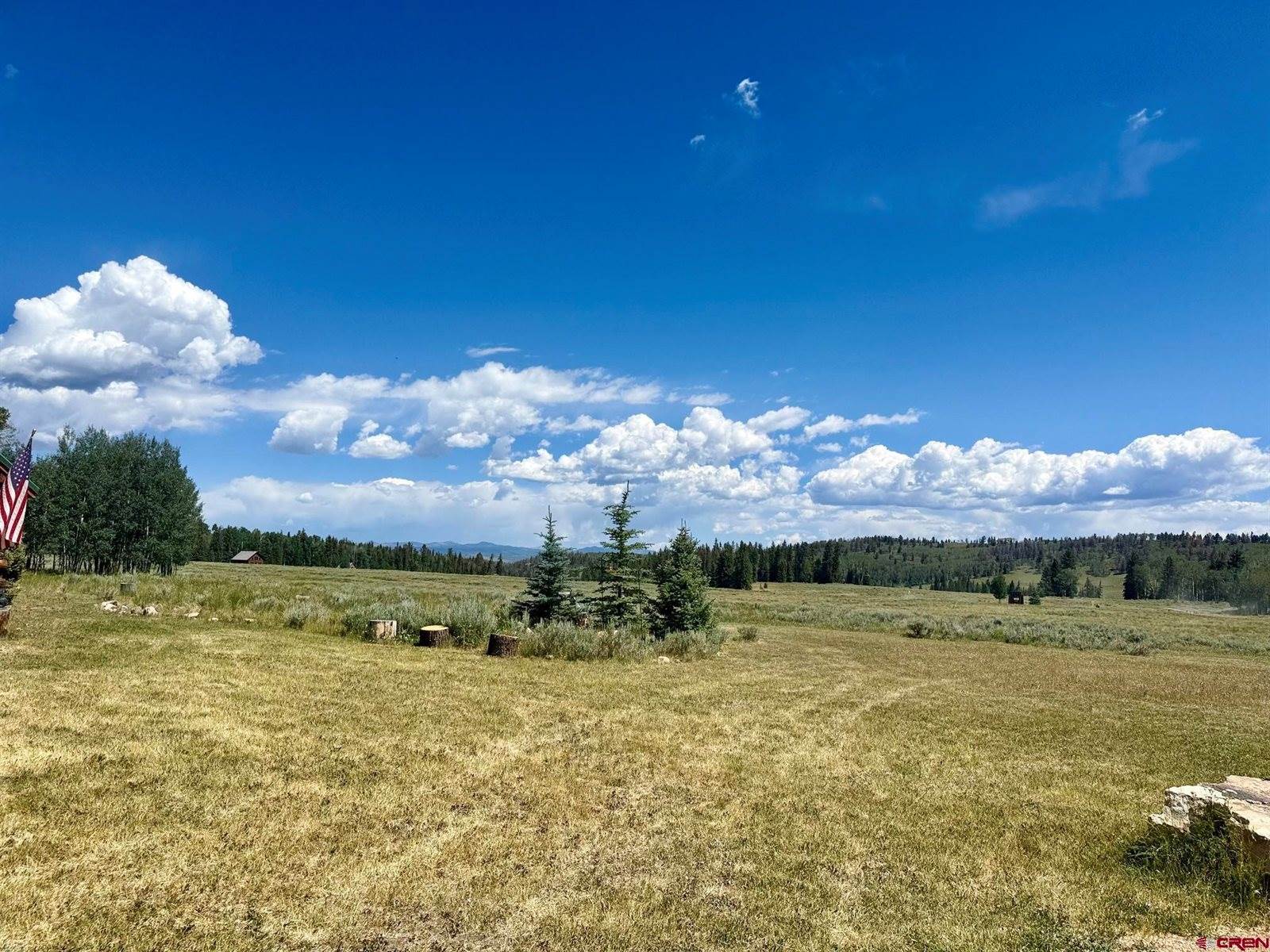 2221 Spruce Road, Cimarron, CO 81220