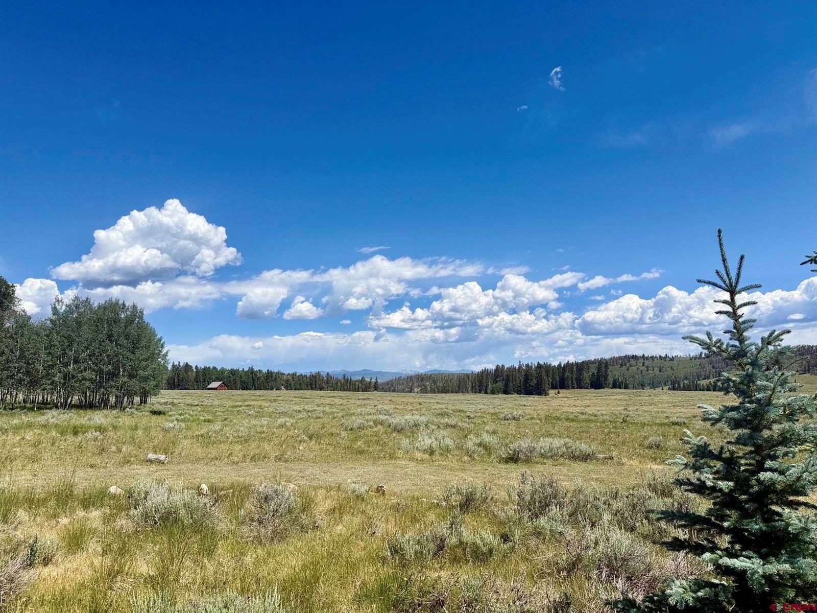 2221 Spruce Road, Cimarron, CO 81220