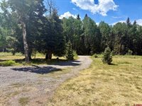 2221 Spruce Road, Cimarron, CO 81220