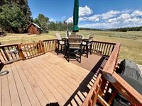 2221 Spruce Road, Cimarron, CO 81220