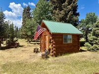 2221 Spruce Road, Cimarron, CO 81220