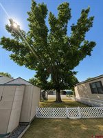 383 S Hillcrest Drive, Montrose, CO 81401