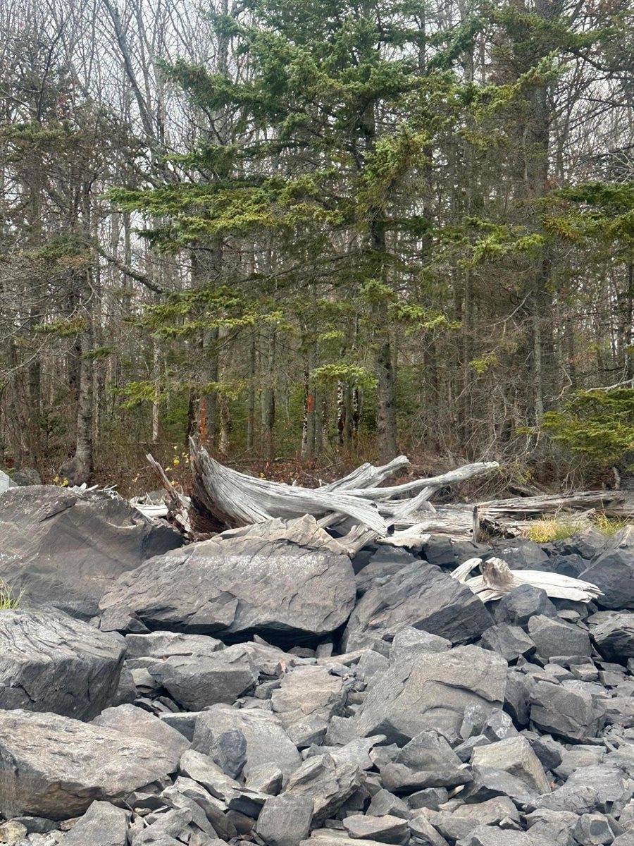TBD Paradise Lane, Tomhegan Township, ME 04478