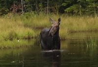 TBD Paradise Lane, Tomhegan Township, ME 04478