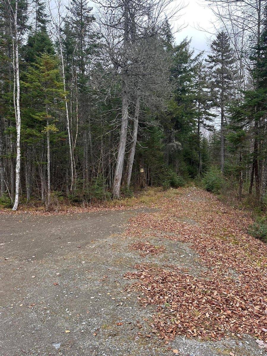 143 Paradise Lane, Tomhegan Township, ME 04478