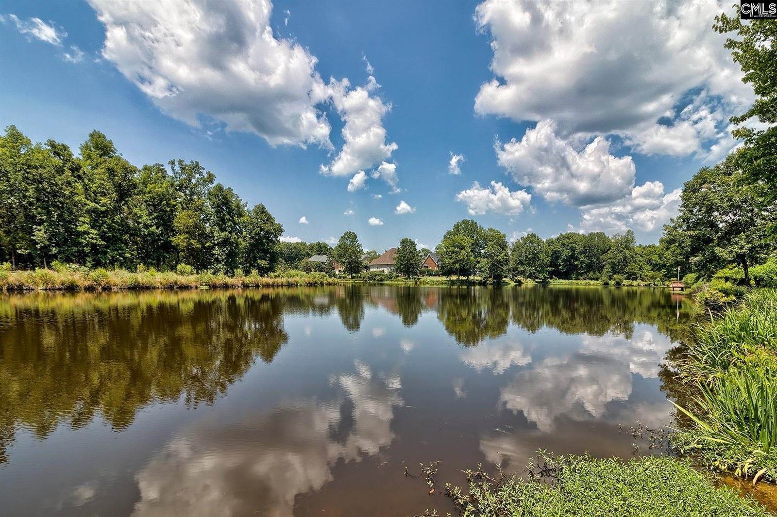 119 Lake Hilton, Chapin, SC 29036