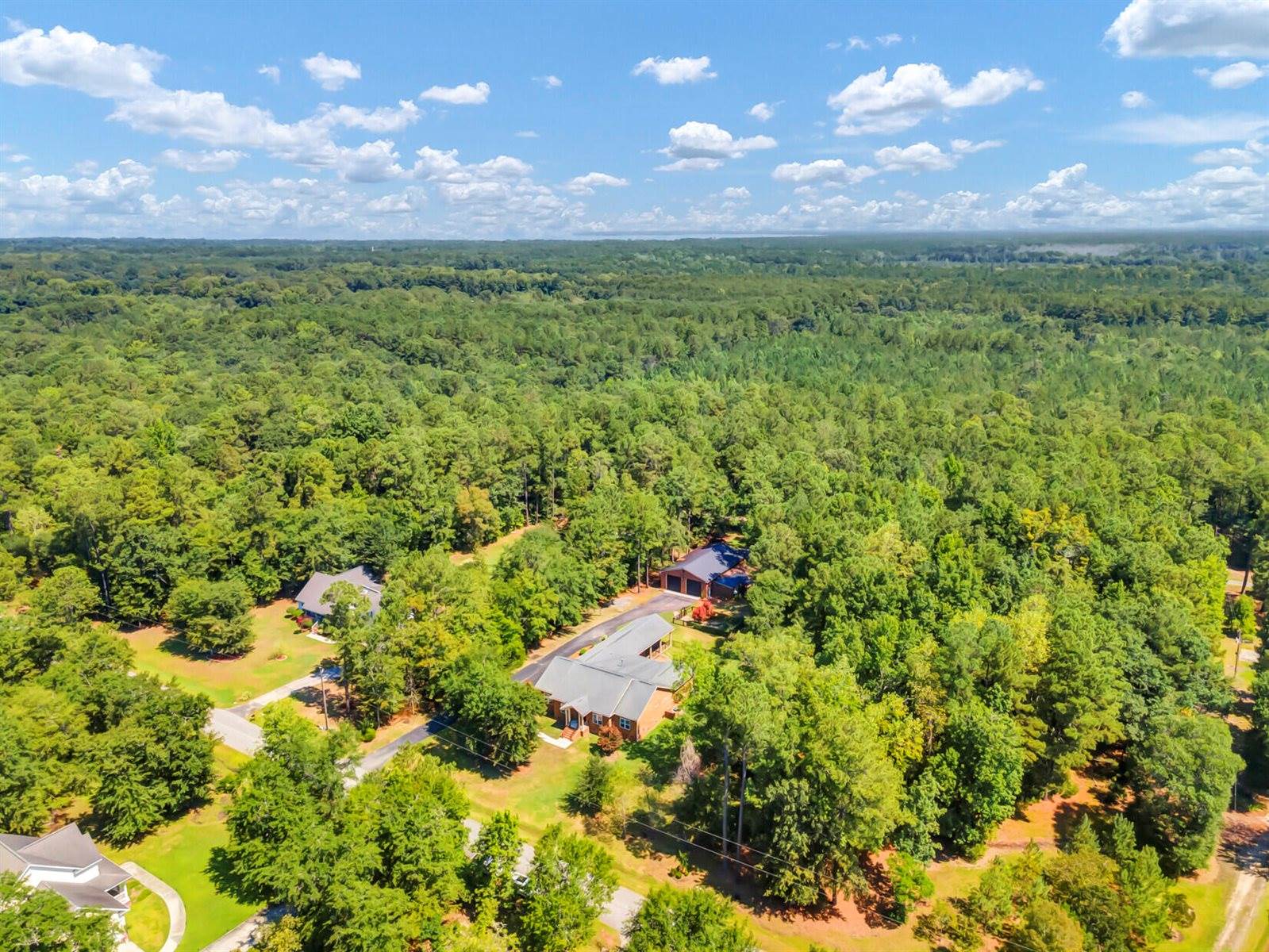 1092 Millies Way Drive, Moncks Corner, SC 29461