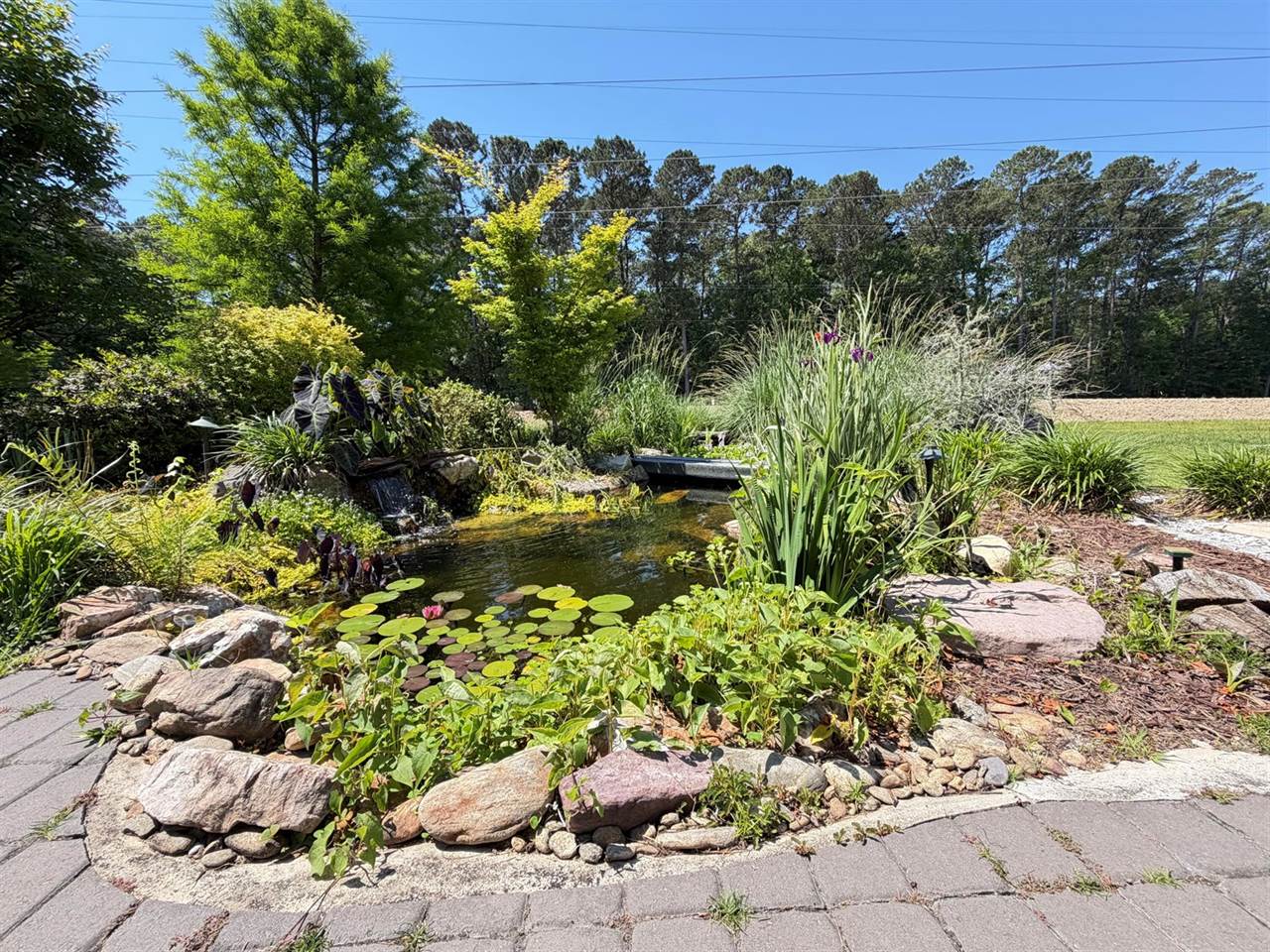 4152 Home Town Lane, Ravenel, SC 29470