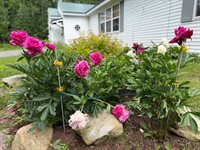 629 Greeley's Landing Road, Dover-Foxcroft, ME 04426