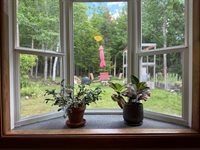629 Greeley's Landing Road, Dover-Foxcroft, ME 04426