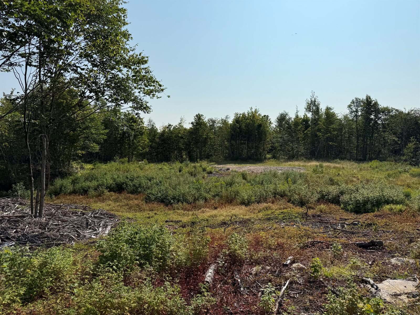 TBD Oak Mountain Road, Springfield, ME 04487