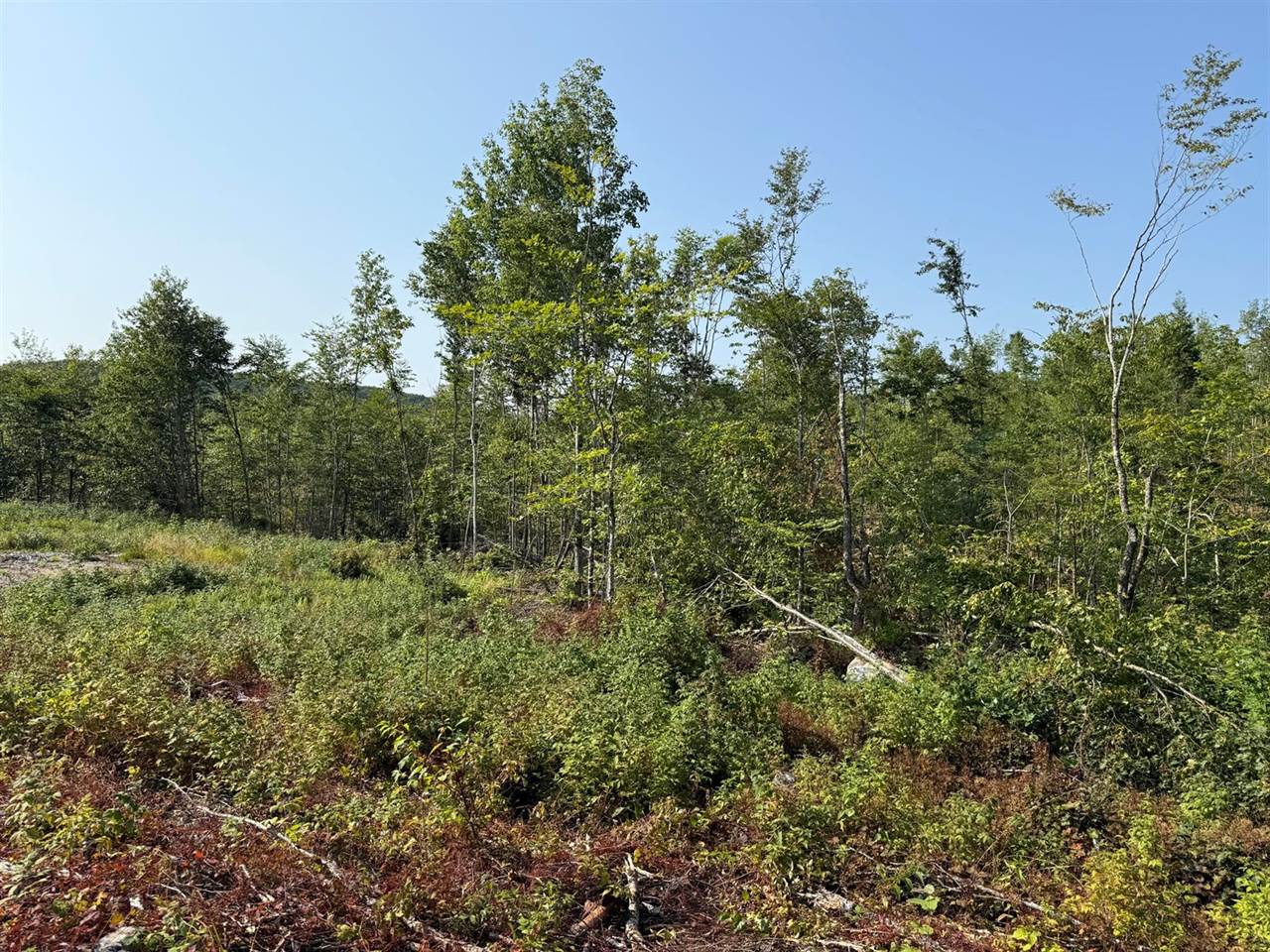 TBD Oak Mountain Road, Springfield, ME 04487