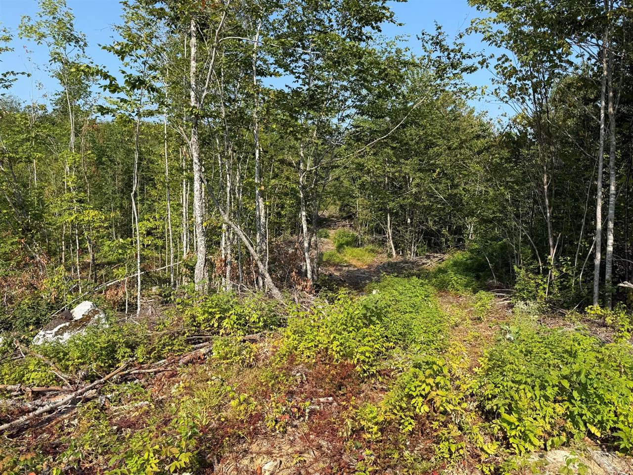 TBD Oak Mountain Road, Springfield, ME 04487