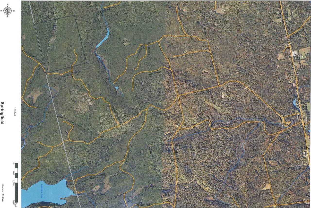 TBD Oak Mountain Road, Springfield, ME 04487