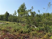 TBD Oak Mountain Road, Springfield, ME 04487