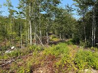 TBD Oak Mountain Road, Springfield, ME 04487