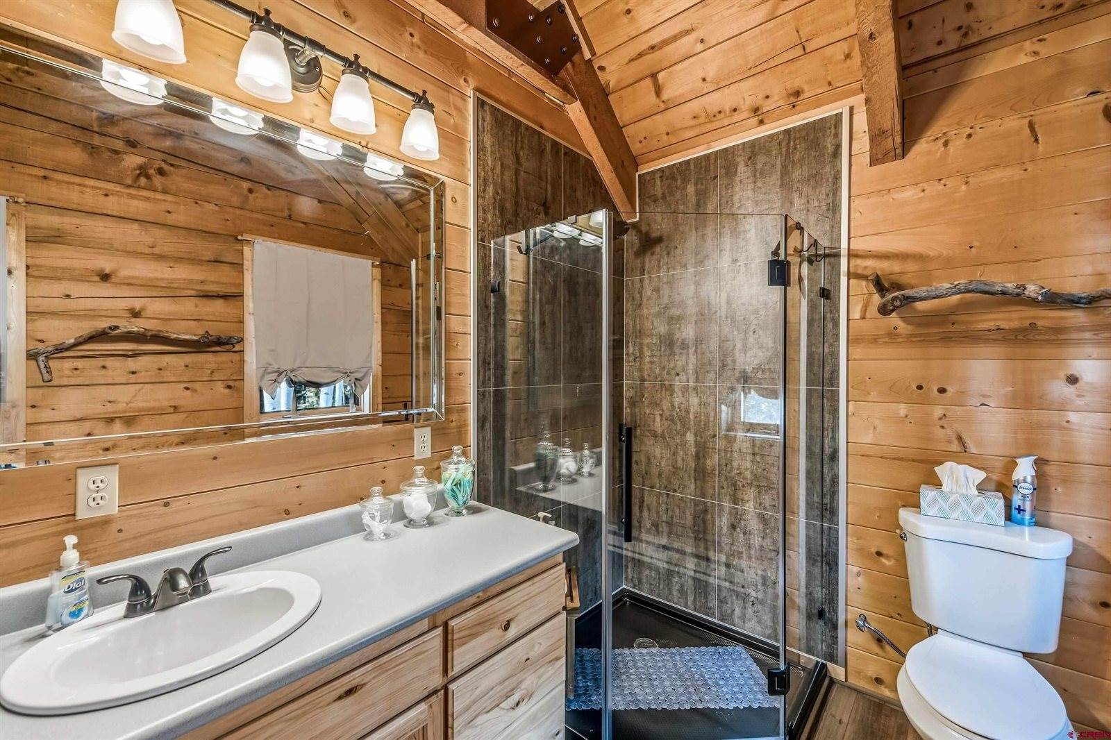 60 Spruce Drive, Cimarron, CO 81220