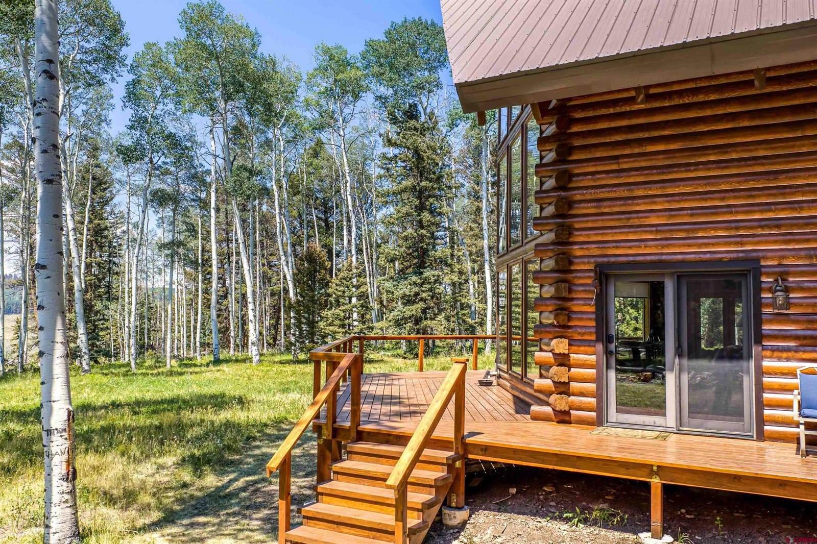 60 Spruce Drive, Cimarron, CO 81220